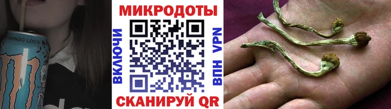 Псилоцибиновые грибы мицелий  Георгиевск 